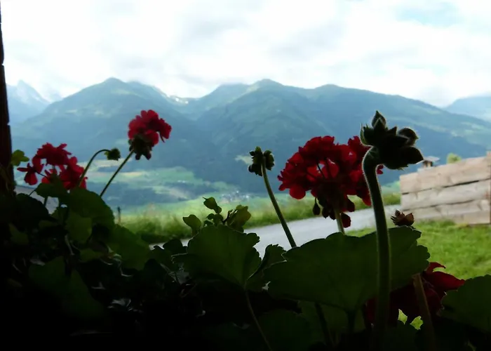 Sonnberg 니에데른실